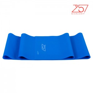 Ss 바디257- 라텍스밴드/BLUE/body257/요가/필라테스/마사지/블루