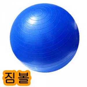 Ss 스타-짐볼 65cm +[EB200]펌프 블루/그레이 색/헬스/다이어트/공/볼/요가/다이어트용품/필라테스