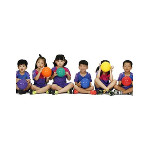 ǰ̹